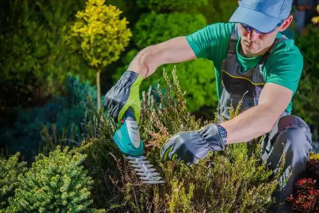 landscaping services Glendale